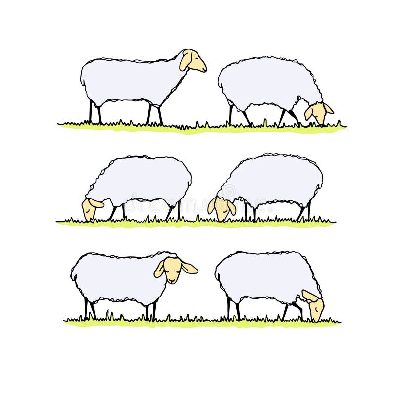 Vector illustration of hand drawn sheep herd eating fresh grass on a meadow. Beautiful design elements, cute animal characters. Vector illustration of hand drawn sheep herd eating fresh grass on a meadow. Beautiful design elements, cute animal characters.