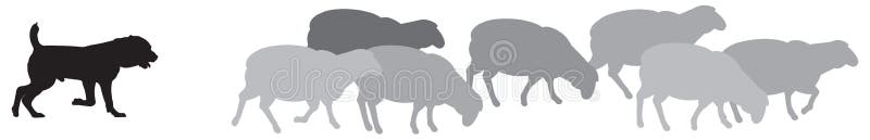 Sheep with Shepherd Dog Silhouettes, a guard sheepdog protects a flock of sheep from predators, livestock guardian dog LGD, a type of pastoral dog bred vector illustration. Sheep with Shepherd Dog Silhouettes, a guard sheepdog protects a flock of sheep from predators, livestock guardian dog LGD, a type of pastoral dog bred vector illustration