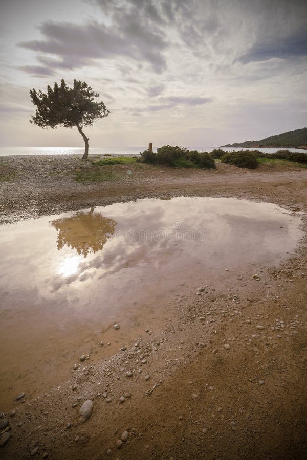 Cala Codolar, Ibiza stock image. Image of view, nature - 49205091