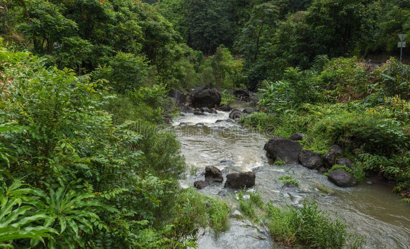 Cala en el camino Maui Hawaii de Hana imagen de archivo Cala en el camino Maui Hawaii de Hana imagen de archivo
