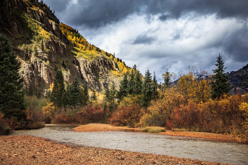 Cala roja de la montaña - Colorado en otoño imágenes de archivo libres de regalías Cala roja de la montaña - Colorado en otoño imágenes de archivo libres de regalías