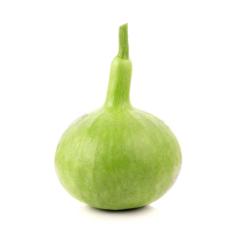 Calabash on White Background Stock Image Image of squash, healthy