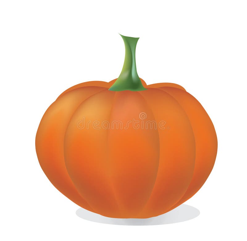Calabaza 3D En Las Verduras Blancas Del Vector Ilustración del Vector - Ilustración de ingrediente, gusto: 33737266 Calabaza 3D En Las Verduras Blancas Del Vector Ilustración del Vector - Ilustración de ingrediente, gusto: 33737266