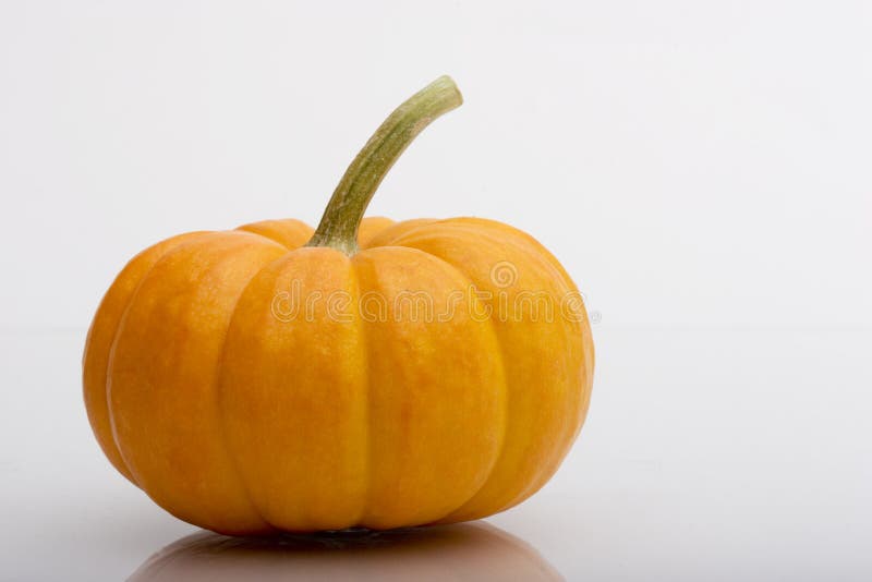 Calabaza y calabaza dos Calabaza y calabaza dos