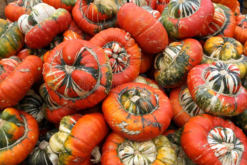 Calabazas fotos de archivo libres de regalías