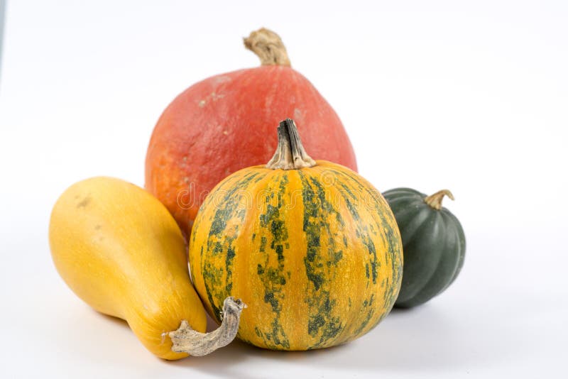 Calabazas fotografía de archivo libre de regalías Calabazas fotografía de archivo libre de regalías
