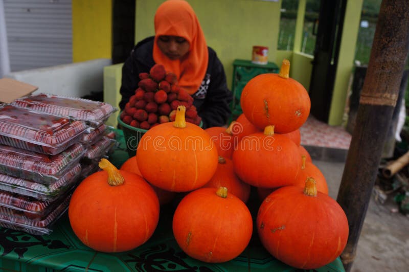 Calabazas de la venta por agricultores en el lado del camino en Magetan, Java Oriental, Indonesia