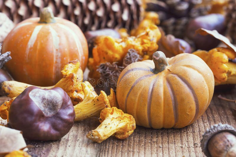 Calabazas decorativas del otoño con las setas, castañas en b de madera imagenes de archivo Calabazas decorativas del otoño con las setas, castañas en b de madera imagenes de archivo
