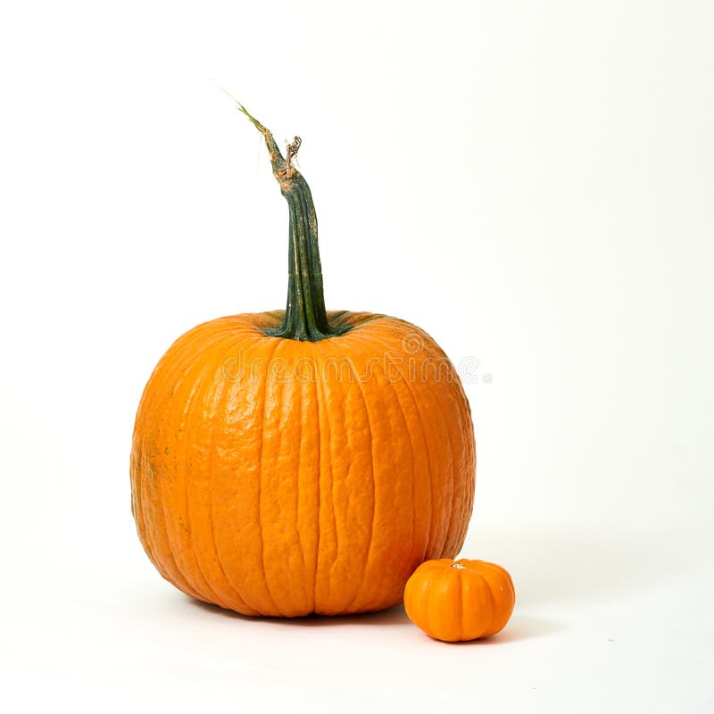 Calabazas Grandes Y Pequeñas De Halloween Imagen de archivo - Imagen de  octubre, anaranjado: 84446255