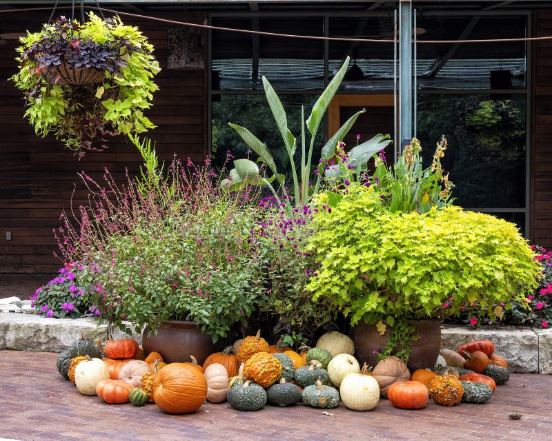 Calabazas Multicolores, Plantadores Con Plantas Y Flores, Una Canasta Colgante De Plantas En El Arboreto De Dallas En Texas Imagen archivo - Imagen de roca, oriente: 199984309