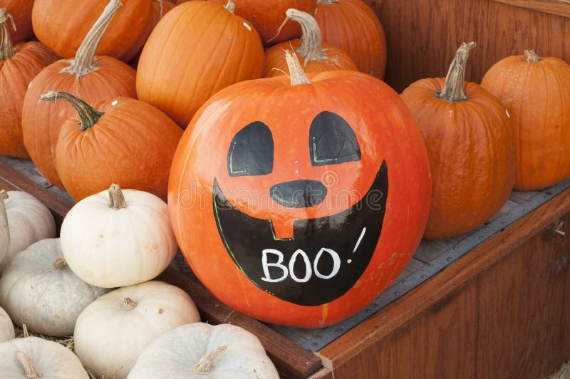 Calabazas para la venta imágenes de archivo libres de regalías Calabazas para la venta imágenes de archivo libres de regalías