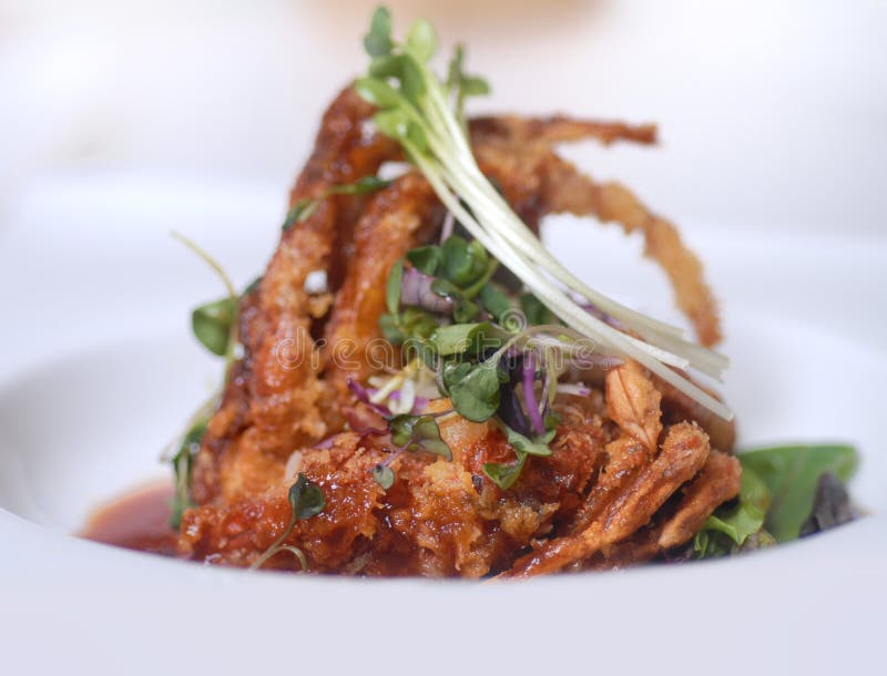 Calamari royalty free stock photo