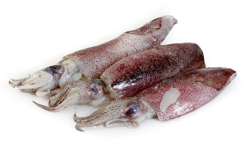 Calamari frais avec le citron photographie stock libre de droits Calamari frais avec le citron photographie stock libre de droits