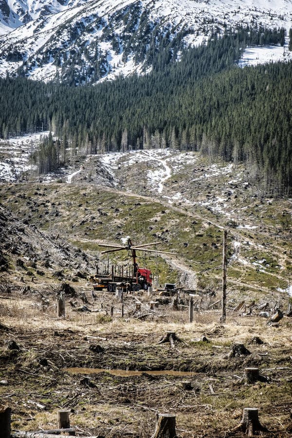 Kalamitná ťažba v Demänovskej doline, Nízke Tatry, Slovensko