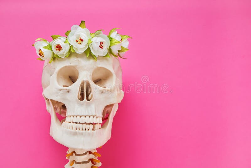 Calavera Humana Con Flores Blancas Sobre Fondo Rosa Copiar Espacio Dia De  Muertos Imagen de archivo - Imagen de flor, cara: 162338957