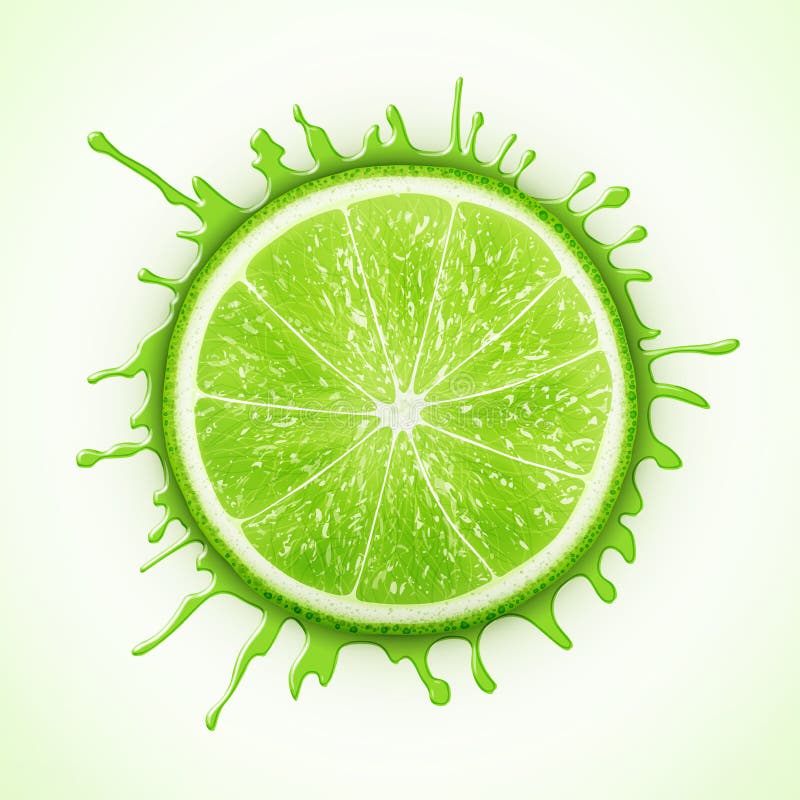Calce fresca con spruzzata illustrazione vettoriale Calce fresca con spruzzata illustrazione vettoriale