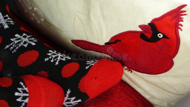 Close-up of womans stocking feet resting against a pillow with an embroidered cardinal. Socks are Christmas socks black background, red polka dots and toes, and big white snowflakes. Close-up of womans stocking feet resting against a pillow with an embroidered cardinal. Socks are Christmas socks black background, red polka dots and toes, and big white snowflakes.