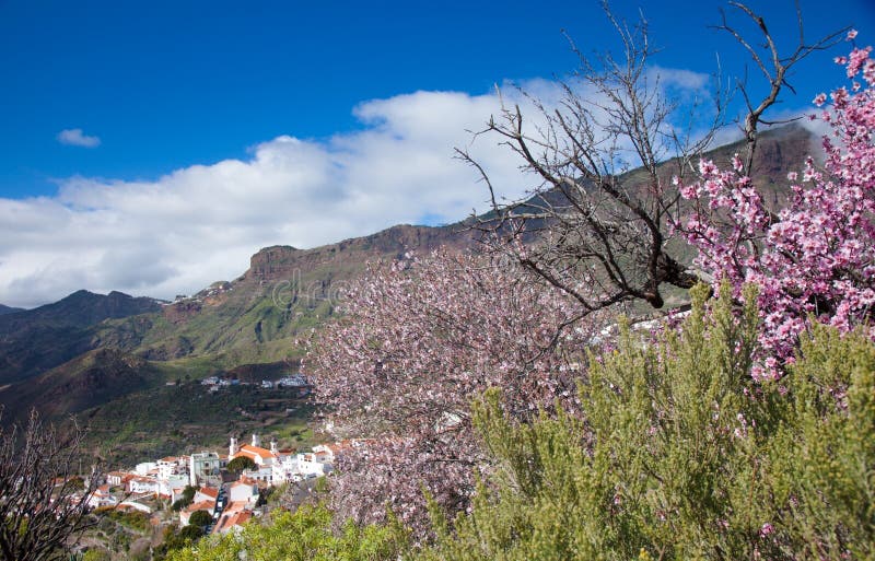 Caldeira De Tejeda en hiver photographie stock Caldeira De Tejeda en hiver photographie stock