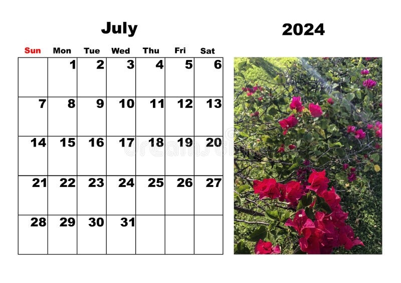 Calendar for 2024, July, with a Photo of Tropical Flowers Stock