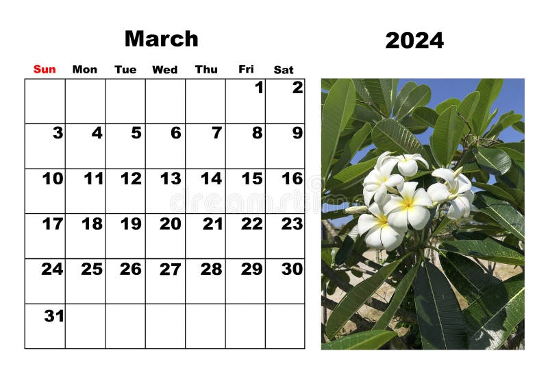 Calendar for 2024, March, with a Photo of Tropical Flowers Stock