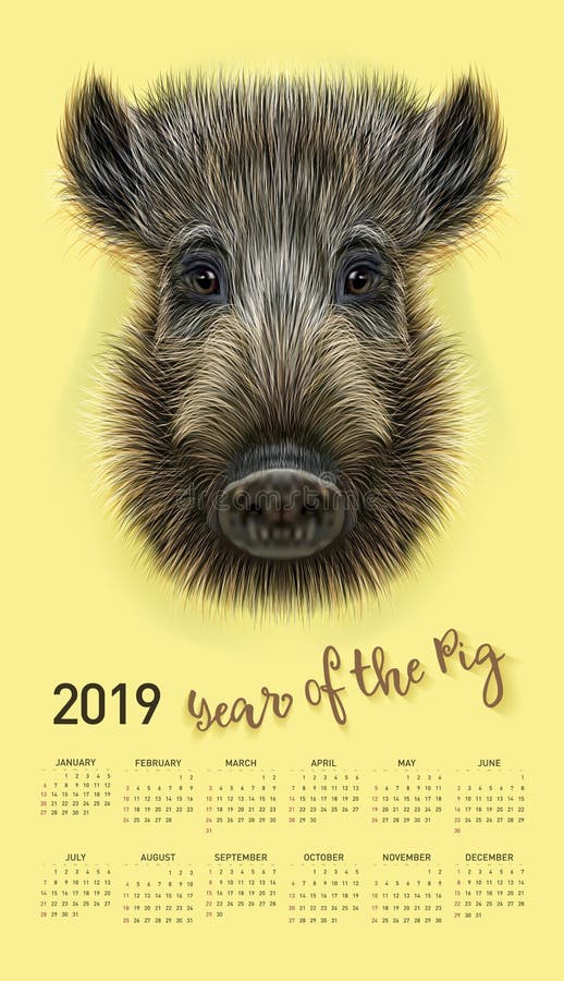 Calendario del cerdo para 2019 Plantilla editable del vector con concepto Símbolo del año en el calendario chino realista ilustración del vector Calendario del cerdo para 2019 Plantilla editable del vector con concepto Símbolo del año en el calendario chino realista ilustración del vector