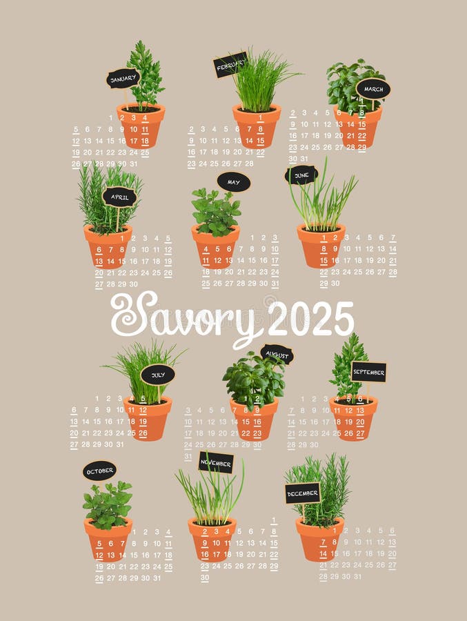 Calendario 2025 erbe fresche in vettoriolo vettoriale di beige illustrazione vettoriale
