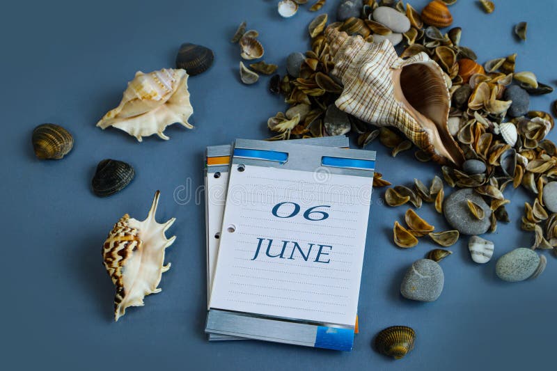 Calendario para el 6 de junio : números 06 nombre del mes en junio en inglés en un calendario inverso entre conchas.