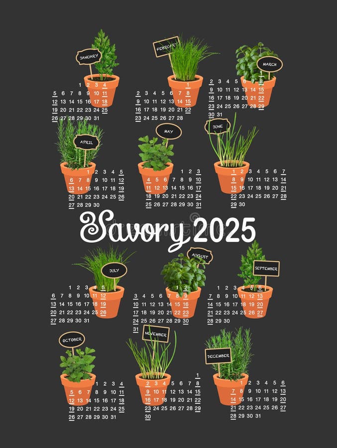 Calendario usa 2025 erbe aromatiche fresche di colore nero royalty illustrazione gratis