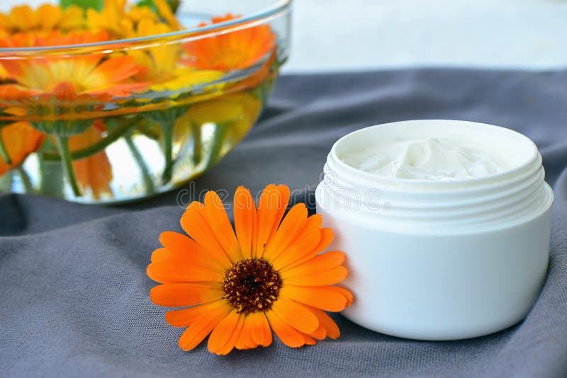 Calendula cosmetic cream and flowers royalty free stock images Calendula cosmetic cream and flowers royalty free stock images