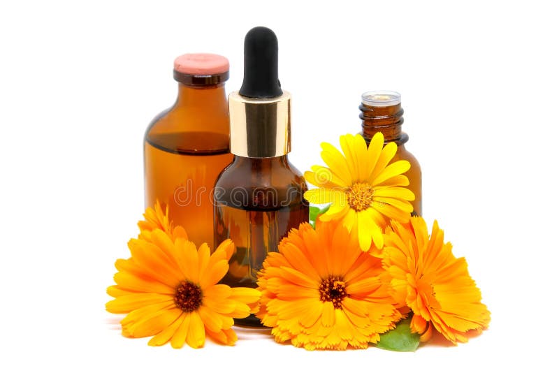 Calendula flower essential oil, extract and tincture