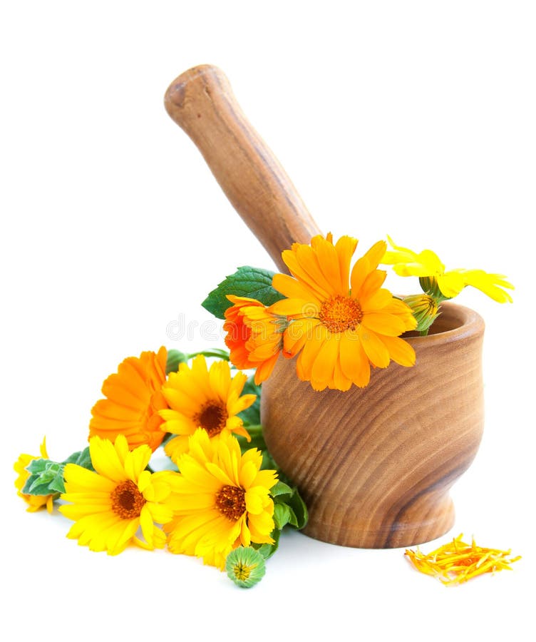 Calendula Flowers, Mortar and Pestle Stock Photo Image of mortar