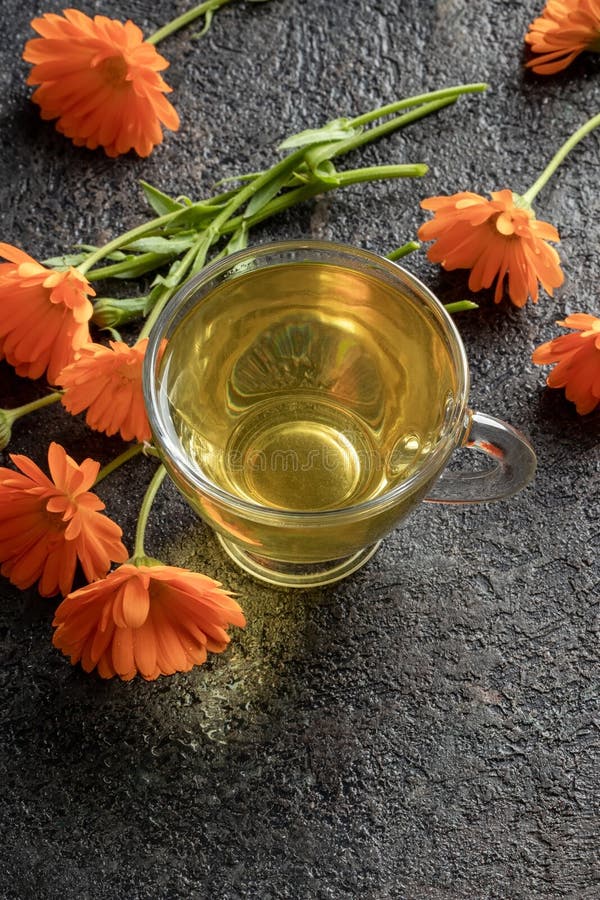 Calendula Tea with Fresh Calendula Flowers Stock Photo Image of fresh