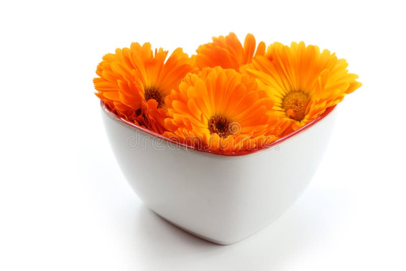 Calendulablume, Ringelblume im Herzen stockbilder