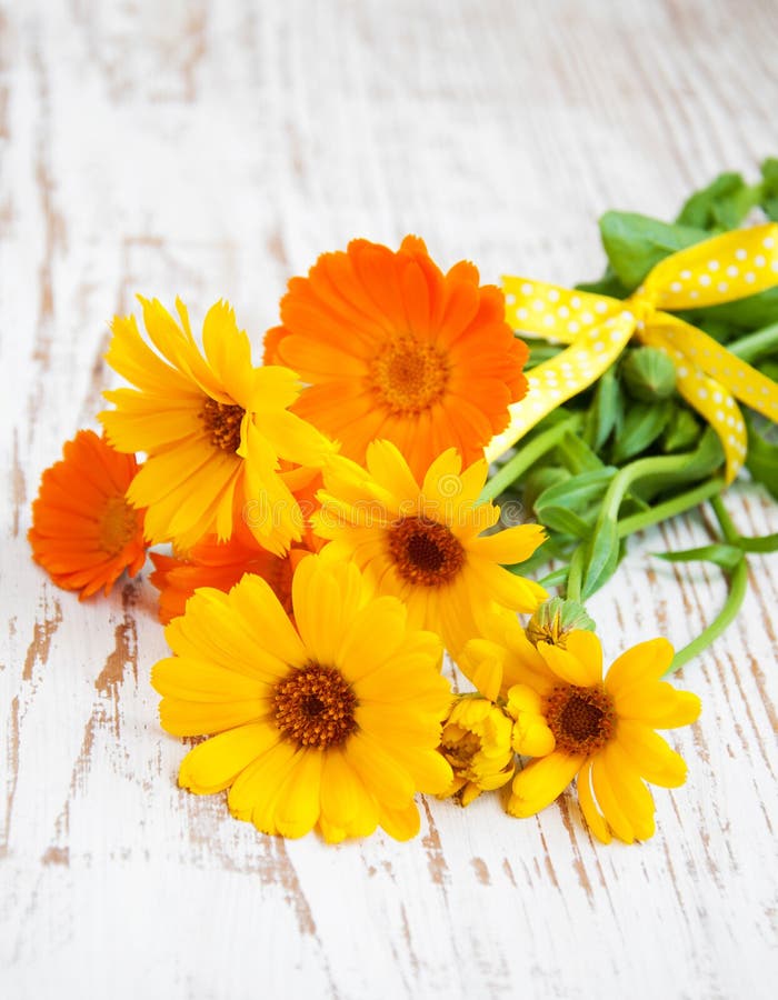 Calendula-Strauß lizenzfreie stockfotos