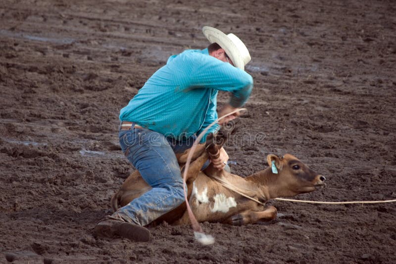 Calf roper stock image Calf roper stock image