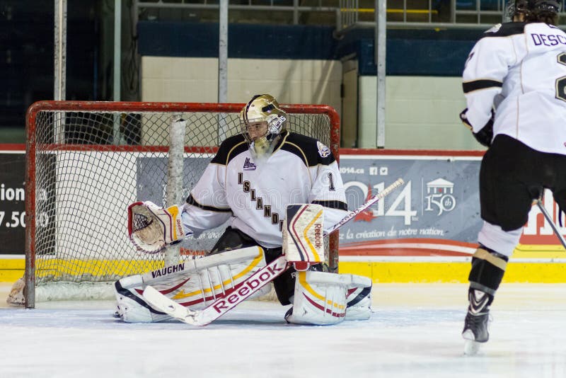 Calgary Flames Goalie Mason McDonald royalty free stock photography
