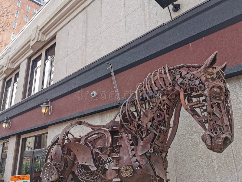 Calgary Tower Horse Sculpture Editorial Stock Photo Image of window