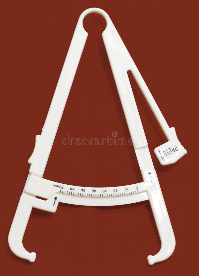 Calibro grasso immagine stock libera da diritti Calibro grasso immagine stock libera da diritti
