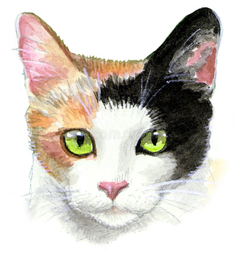 Calico Cat Illustration stock illustration. Illustration of black - 3911732