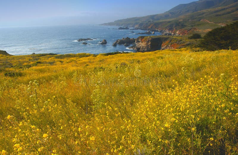 California coast