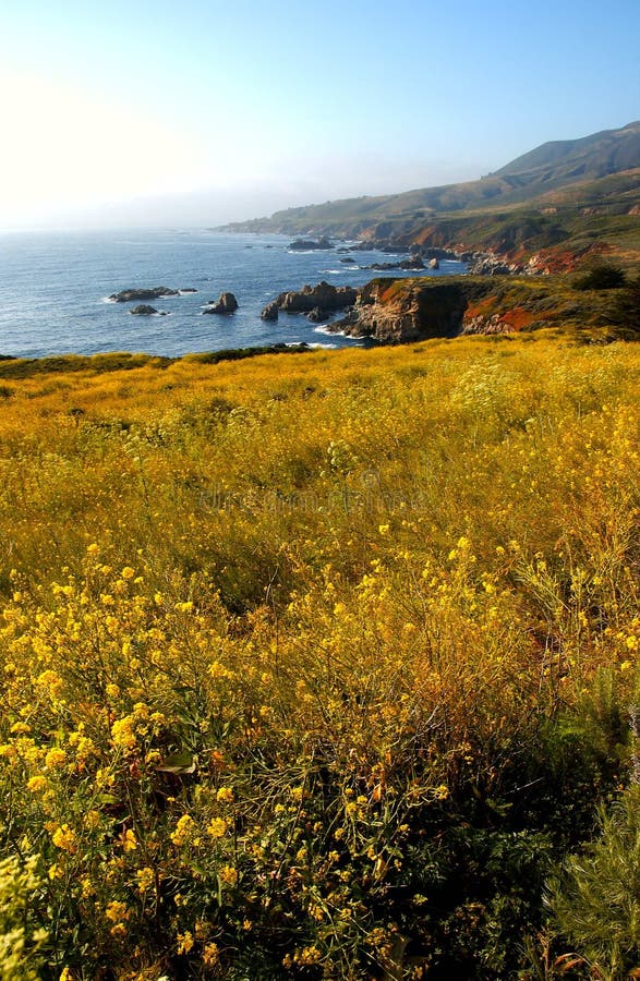 California coast