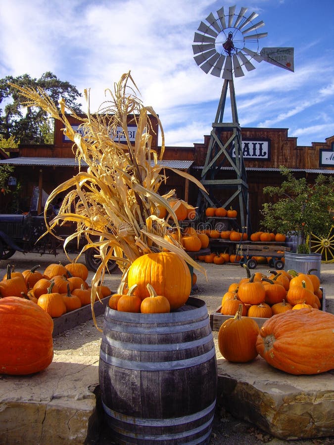 California Fruit Stand stock photo. Image of halloween 46003168