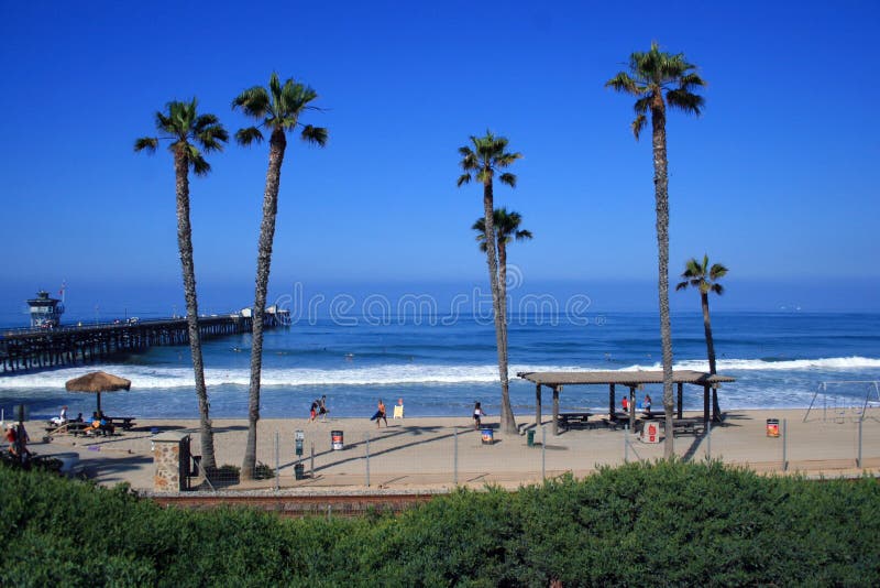 California Palm Trees stock photo. Image of trees, beach - 3510122