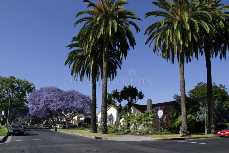 Californian property stock photos