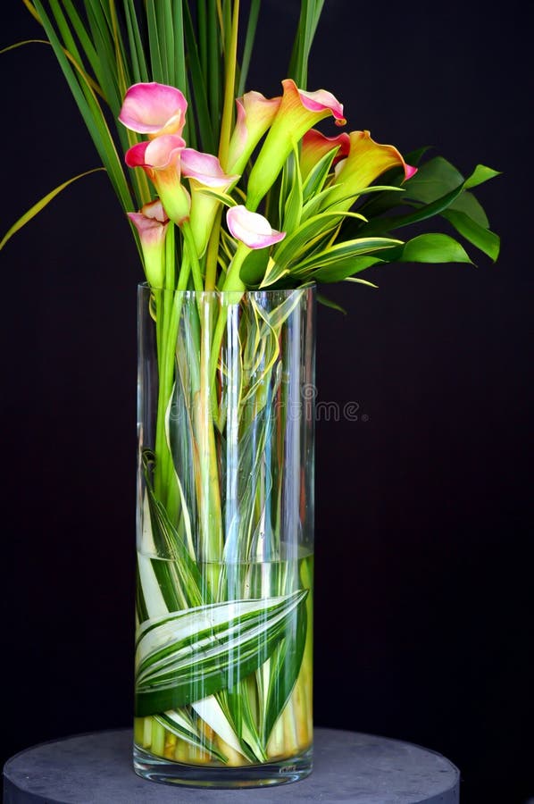 Calla Lilies in Vase stock photo. Image of calla, lily 6425458