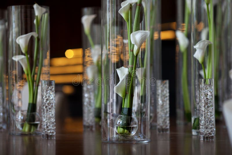 Calla lilies in a vase stock photo. Image of calla, indoor 56607286