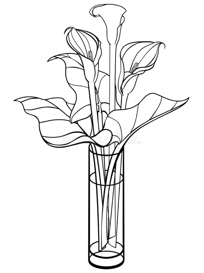 Desenhos para colorir gratuitos de Flores e vegetação para imprimir -  Flores e vegetação - Coloring Pages for Adults