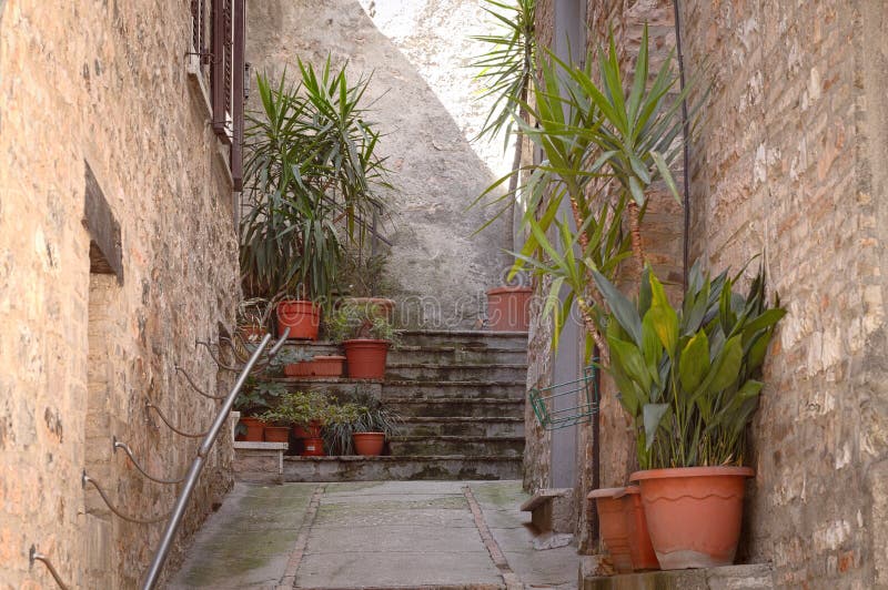 Puerta Y Plantas En Floreros Imagen de archivo - Imagen de antigüedad