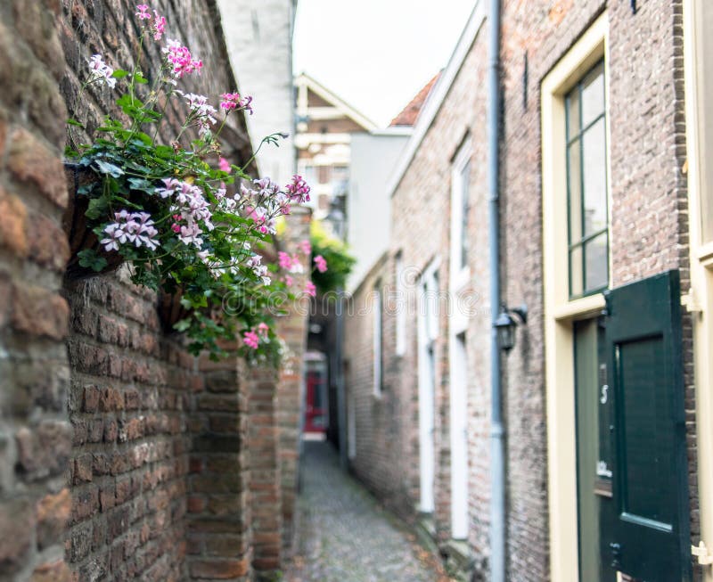 Callejón viejo estrecho con las casas y las flores decorativas imágenes de archivo libres de regalías Callejón viejo estrecho con las casas y las flores decorativas imágenes de archivo libres de regalías
