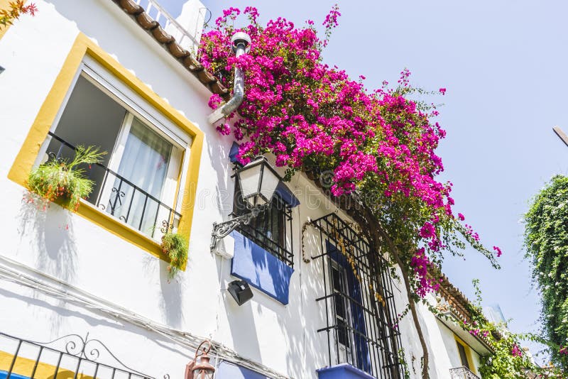 calles andaluces tradicionales con las flores y las casas blancas adentro foto de archivo libre de regalías calles andaluces tradicionales con las flores y las casas blancas adentro foto de archivo libre de regalías